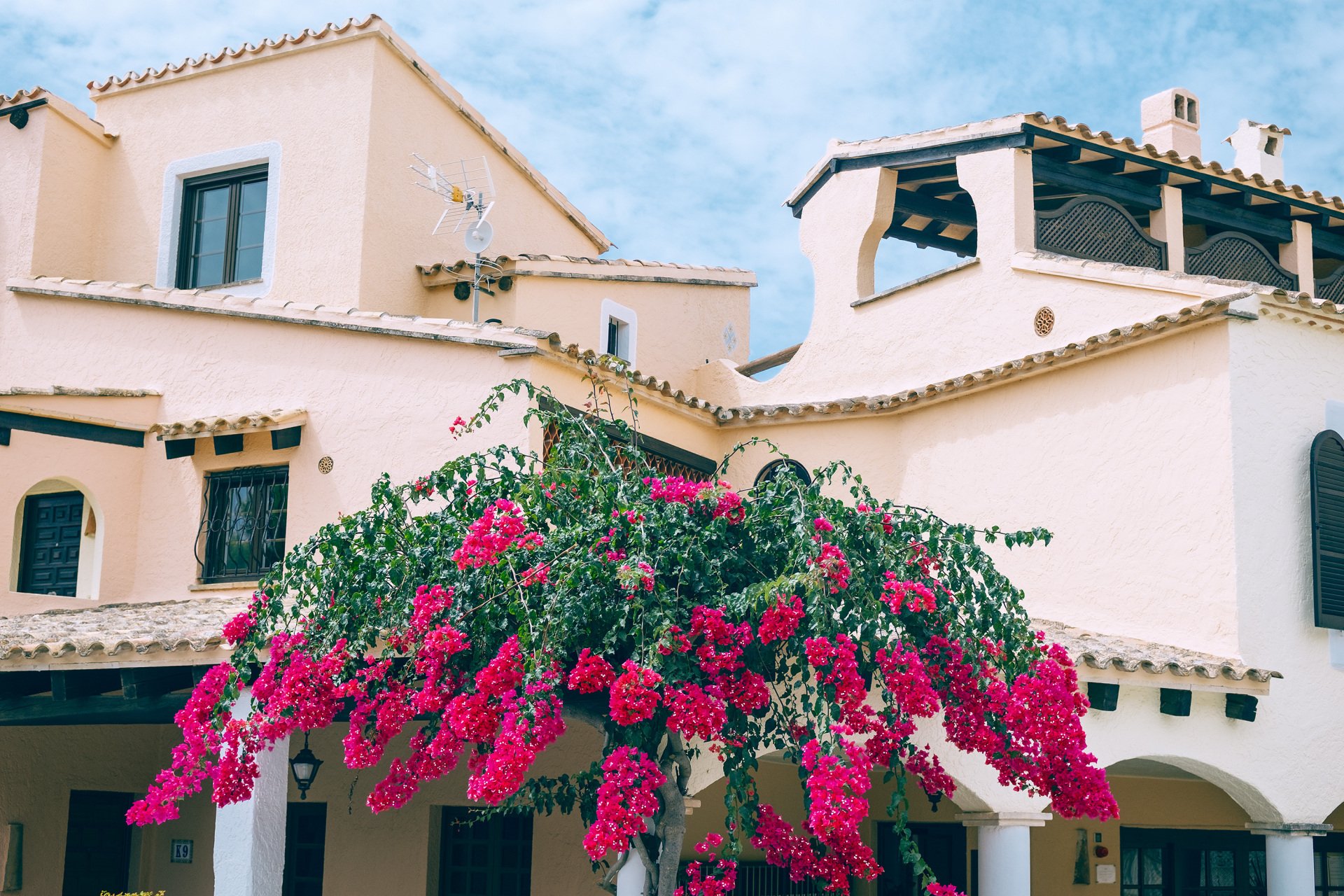 Edificaciones de fachadas claras con tejados de teja, ventanas oscuras y una terraza cubierta, junto a una planta de abundantes flores rosas.